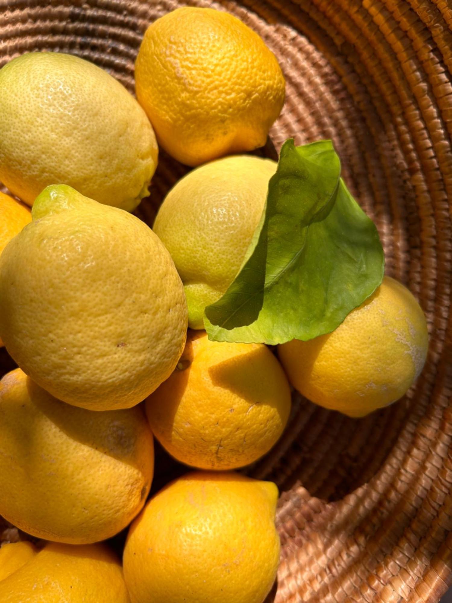 Vireo Rooms 산타마리아나바레제 외부 사진
